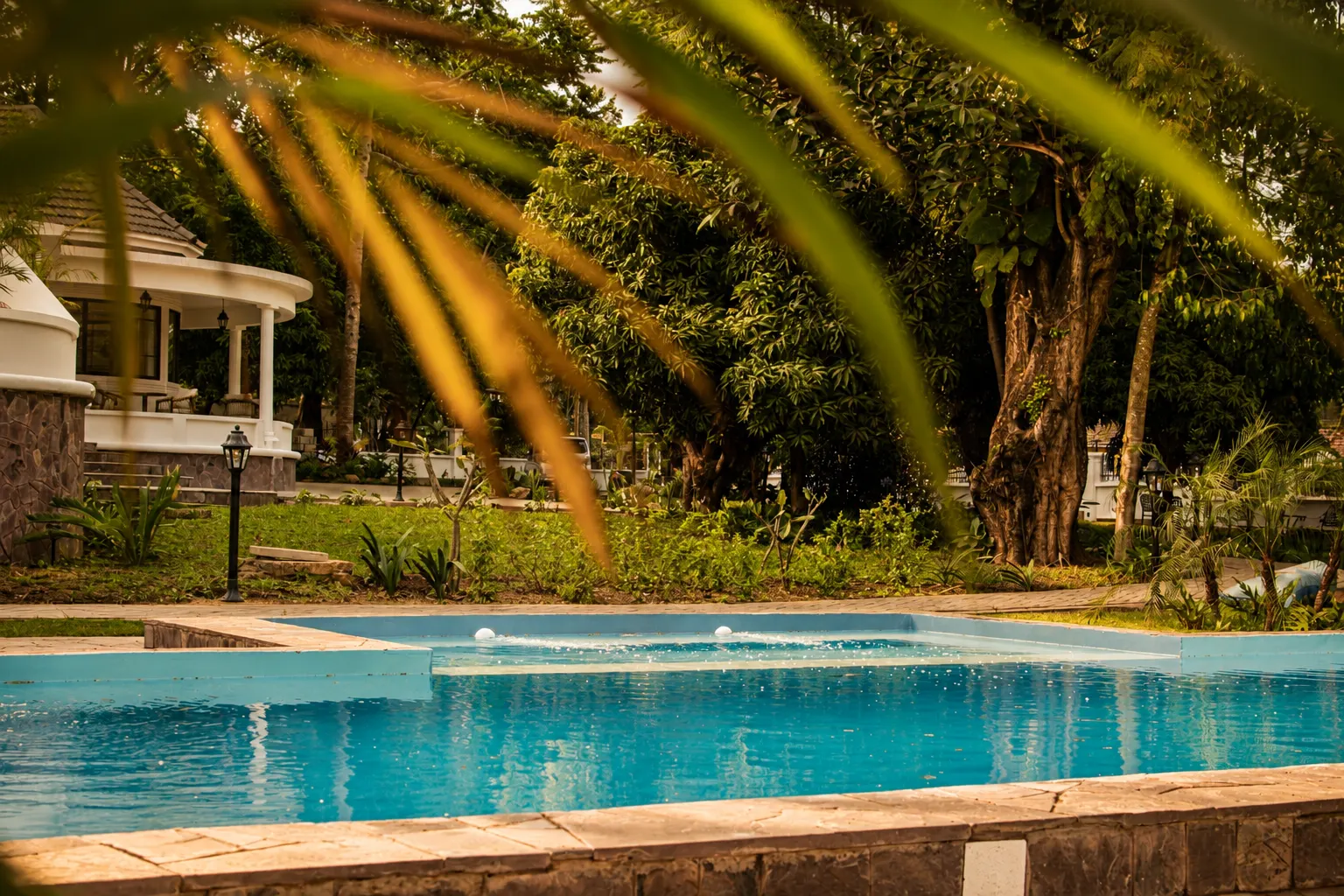 The pool at Haile in the late afternoon — the white veranda of the house beyond it, mango trees closing over the water.