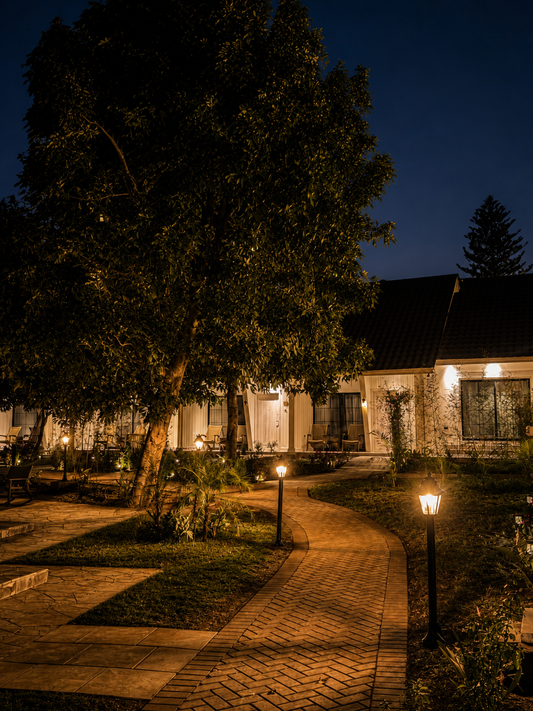 The garden at Haile in the last hour of light.