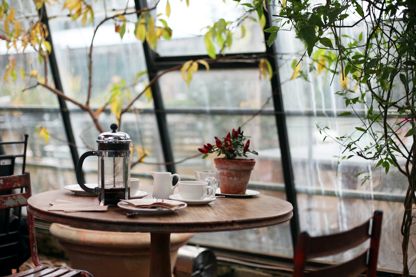 Haile Brew, the coffee house and garden bar.